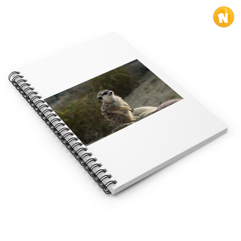 new product – Pullover Hoodie