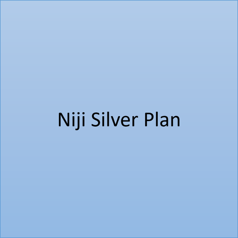 Niji Silver Plan – Unlock Ad-Free Creativity