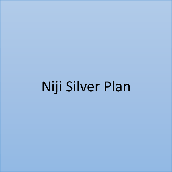 Niji Silver Plan – Unlock Ad-Free Creativity