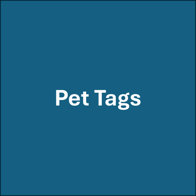 Personalized Kids Pet Tag – Custom Caricature + Name Design