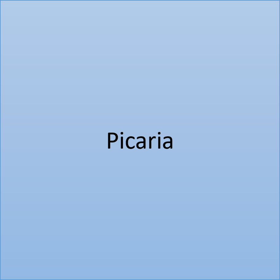 ⚪ Picaria – Personalized Digital Board Game