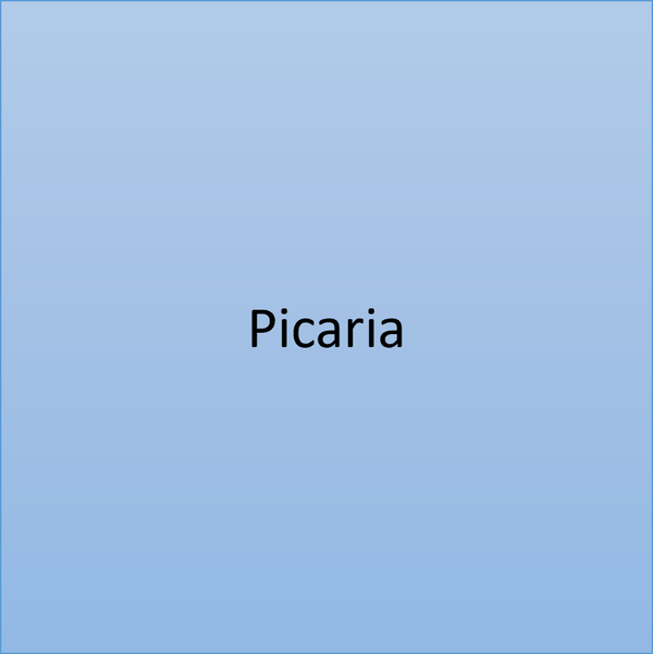 ⚪ Picaria – Personalized Digital Board Game