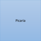 ⚪ Picaria – Personalized Digital Board Game