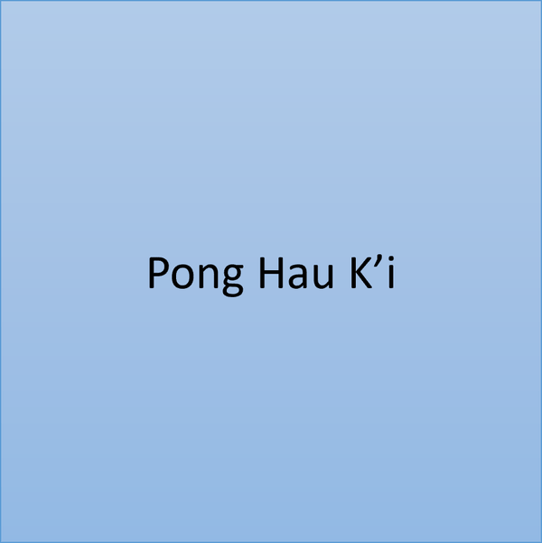 🔺 Pong Hau K’i – Personalized Digital Board Game