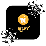 The Golden N