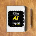 A5 Notepad | 120 Pages, Ruled/Unruled | 70 GSM Natural Shade Paper, 300 GSM Cover | Wire Bound | Everyday Use | Personalized | Typography | Humor | Identity | Everyday | Humorous | Desi AI Expert - back - White - mockup 2